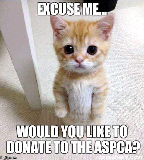 Cute Cat | EXCUSE ME... WOULD YOU LIKE TO DONATE TO THE ASPCA? | image tagged in memes,cute cat | made w/ Imgflip meme maker