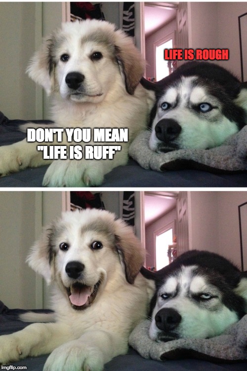 Bad pun dogs | LIFE IS ROUGH; DON'T YOU MEAN "LIFE IS RUFF" | image tagged in bad pun dogs | made w/ Imgflip meme maker