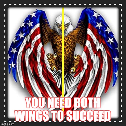 YOU NEED BOTH WINGS TO SUCCEED | image tagged in learn to fly | made w/ Imgflip meme maker