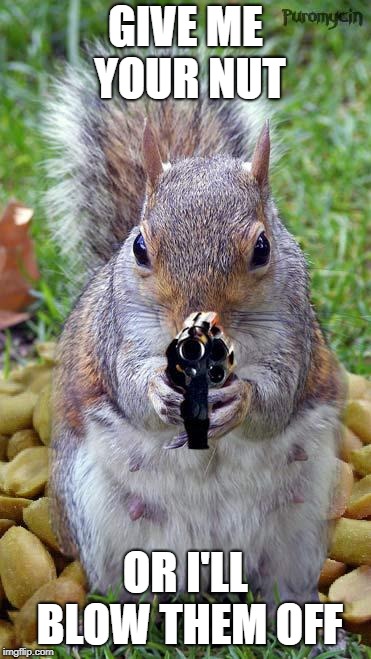 funny squirrels with guns (5) | GIVE ME YOUR NUT; OR I'LL BLOW THEM OFF | image tagged in funny squirrels with guns 5 | made w/ Imgflip meme maker