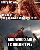 AND WHO SAID I COULDN'T FLY | image tagged in funny | made w/ Imgflip meme maker