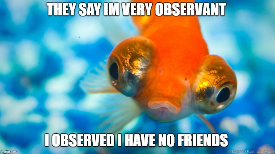 observant   | THEY SAY IM VERY OBSERVANT; I OBSERVED I HAVE NO FRIENDS | image tagged in no friends | made w/ Imgflip meme maker