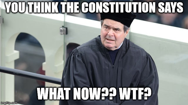 WTF Constitution | YOU THINK THE CONSTITUTION SAYS; WHAT NOW?? WTF? | image tagged in wtf,living document,scalia,constitution | made w/ Imgflip meme maker