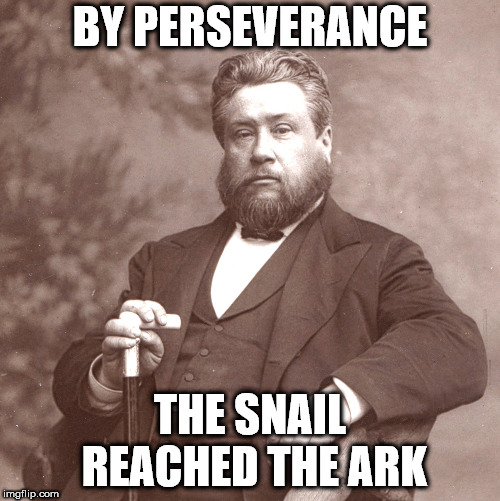 Spurgeon  | BY PERSEVERANCE; THE SNAIL REACHED THE ARK | image tagged in spurgeon | made w/ Imgflip meme maker