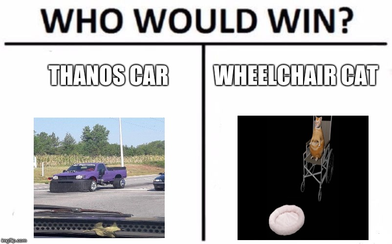 Who Would Win? Meme | THANOS CAR; WHEELCHAIR CAT | image tagged in memes,who would win | made w/ Imgflip meme maker