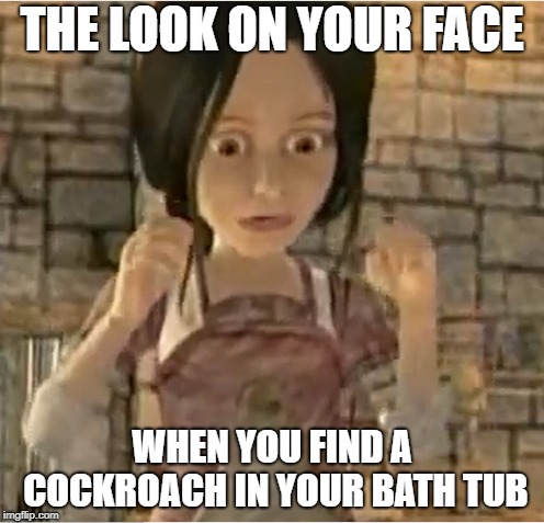 When you see a Cockroach | THE LOOK ON YOUR FACE; WHEN YOU FIND A COCKROACH IN YOUR BATH TUB | image tagged in funny,humor | made w/ Imgflip meme maker