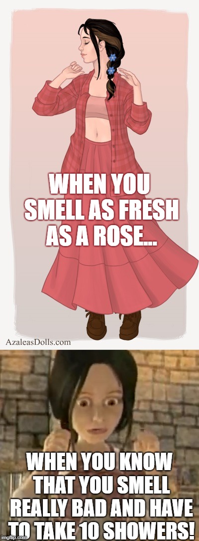 When you Smell... | WHEN YOU SMELL AS FRESH AS A ROSE... WHEN YOU KNOW THAT YOU SMELL REALLY BAD AND HAVE TO TAKE 10 SHOWERS! | image tagged in funny,humor | made w/ Imgflip meme maker