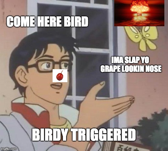Is This A Pigeon | COME HERE BIRD; IMA SLAP YO GRAPE LOOKIN NOSE; BIRDY TRIGGERED | image tagged in memes,is this a pigeon | made w/ Imgflip meme maker