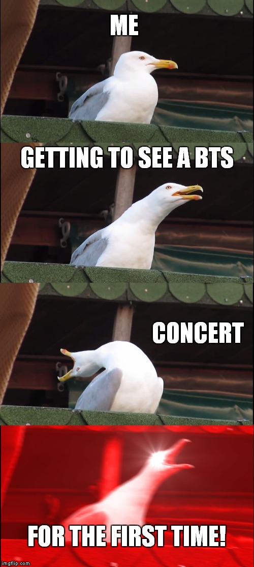 Inhaling Seagull | ME; GETTING TO SEE A BTS; CONCERT; FOR THE FIRST TIME! | image tagged in memes,inhaling seagull | made w/ Imgflip meme maker