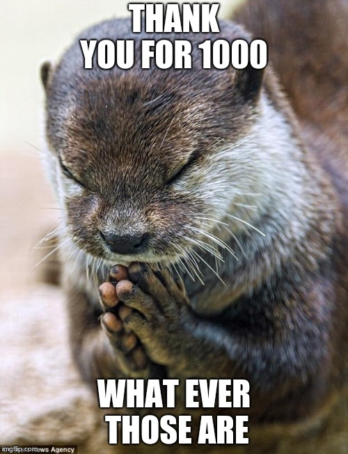 Thank you Lord Otter | THANK YOU FOR 1000; WHAT EVER THOSE ARE | image tagged in thank you lord otter | made w/ Imgflip meme maker