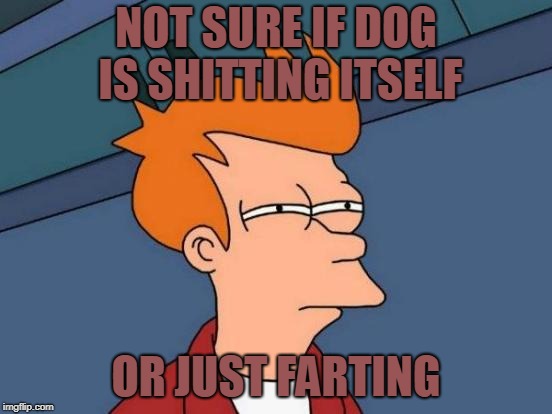 Futurama Fry Meme | NOT SURE IF DOG IS SHITTING ITSELF OR JUST FARTING | image tagged in memes,futurama fry | made w/ Imgflip meme maker