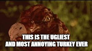 Worst Turkey Ever | THIS IS THE UGLIEST AND MOST ANNOYING TURKEY EVER | image tagged in thanksgiving,turkey | made w/ Imgflip meme maker