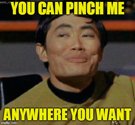Sulu knows what you're talking about,,, | YOU CAN PINCH ME ANYWHERE YOU WANT | image tagged in sulu knows what you're talking about   | made w/ Imgflip meme maker