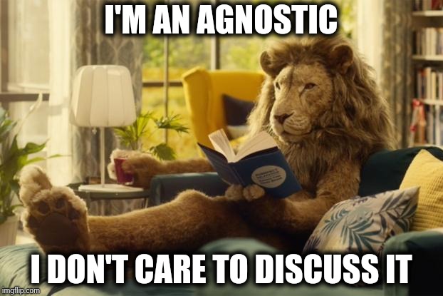 Lion relaxing | I'M AN AGNOSTIC I DON'T CARE TO DISCUSS IT | image tagged in lion relaxing | made w/ Imgflip meme maker