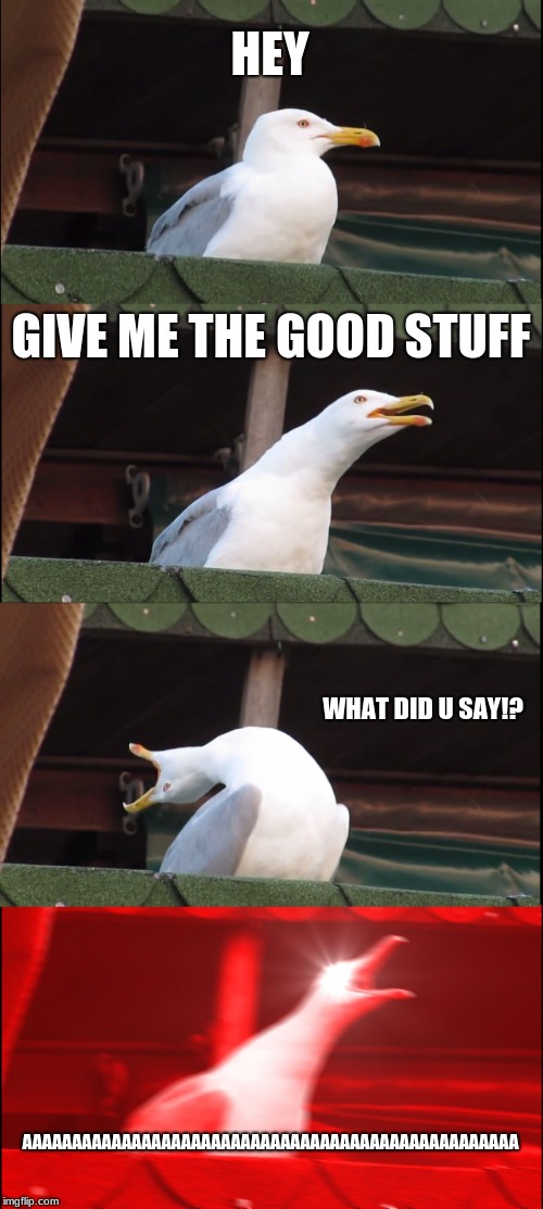 Inhaling Seagull Meme |  HEY; GIVE ME THE GOOD STUFF; WHAT DID U SAY!? AAAAAAAAAAAAAAAAAAAAAAAAAAAAAAAAAAAAAAAAAAAAAAAAAA | image tagged in memes,inhaling seagull | made w/ Imgflip meme maker