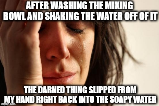 ""I HAD TO WASH IT ALL OVER AGAIN!!!!!"" | AFTER WASHING THE MIXING BOWL AND SHAKING THE WATER OFF OF IT; THE DARNED THING SLIPPED FROM MY HAND RIGHT BACK INTO THE SOAPY WATER | image tagged in memes,first world problems | made w/ Imgflip meme maker