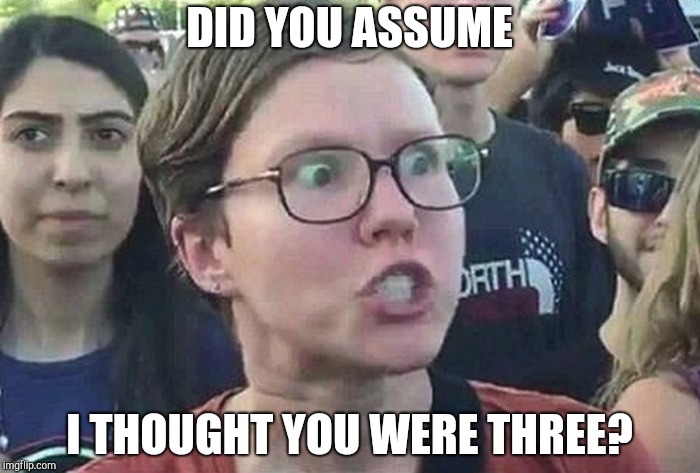 Triggered Liberal | DID YOU ASSUME I THOUGHT YOU WERE THREE? | image tagged in triggered liberal | made w/ Imgflip meme maker