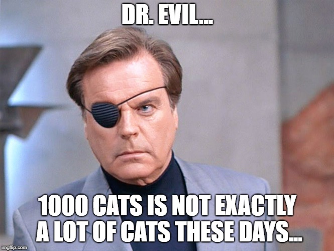 Number 2.2 | DR. EVIL... 1000 CATS IS NOT EXACTLY A LOT OF CATS THESE DAYS... | image tagged in austin powers,dr evil,number 2,cats,i love cats | made w/ Imgflip meme maker