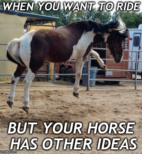 no ride today | WHEN YOU WANT TO RIDE; BUT YOUR HORSE HAS OTHER IDEAS | image tagged in not gonna ride,air horse | made w/ Imgflip meme maker