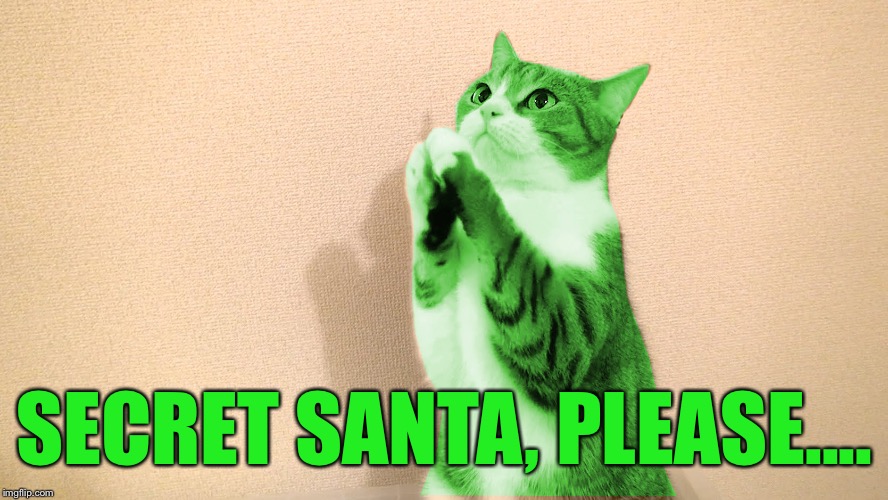 RayCat Pray | SECRET SANTA, PLEASE.... | image tagged in raycat pray | made w/ Imgflip meme maker