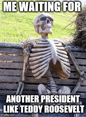 Waiting Skeleton | ME WAITING FOR; ANOTHER PRESIDENT LIKE TEDDY ROOSEVELT | image tagged in memes,waiting skeleton | made w/ Imgflip meme maker