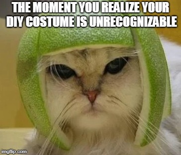 Halloween Fail | THE MOMENT YOU REALIZE YOUR DIY COSTUME IS UNRECOGNIZABLE | image tagged in halloween,fails,grumpy cat,cat | made w/ Imgflip meme maker
