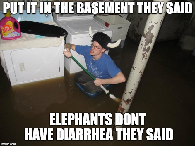 Re-post from like 5 years ago | PUT IT IN THE BASEMENT THEY SAID; ELEPHANTS DONT HAVE DIARRHEA THEY SAID | image tagged in memes,lol so funny,elephant,poop,hehehe,lulz | made w/ Imgflip meme maker