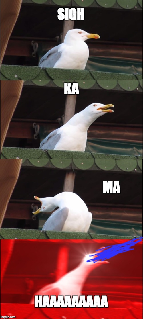 Inhaling Seagull Meme | SIGH; KA; MA; HAAAAAAAAA | image tagged in memes,inhaling seagull | made w/ Imgflip meme maker