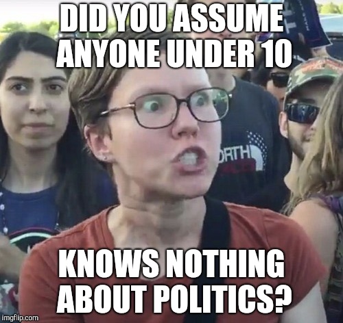 Triggered feminist | DID YOU ASSUME ANYONE UNDER 10 KNOWS NOTHING ABOUT POLITICS? | image tagged in triggered feminist | made w/ Imgflip meme maker