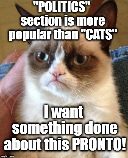 Grumpy Cat has spoken! :-) | "POLITICS" section is more popular than "CATS"; I want something done about this PRONTO! | image tagged in memes,grumpy cat | made w/ Imgflip meme maker