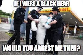 IF I WERE A BLACK BEAR; WOULD YOU ARREST ME THEN? | image tagged in black privilege meme | made w/ Imgflip meme maker