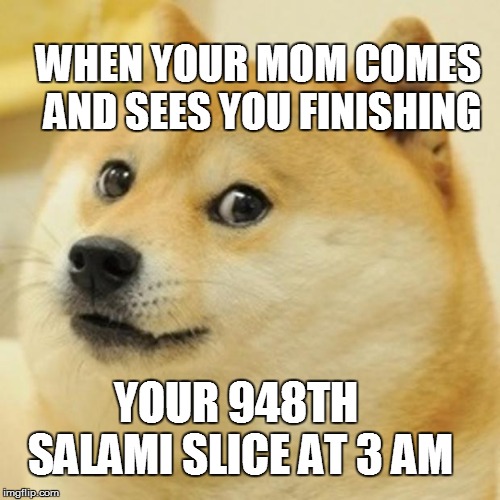 Doge | WHEN YOUR MOM COMES AND SEES YOU FINISHING; YOUR 948TH SALAMI SLICE AT 3 AM | image tagged in memes,doge | made w/ Imgflip meme maker