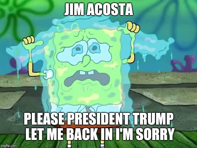 Tears Sweater Spongebob | JIM ACOSTA; PLEASE PRESIDENT TRUMP LET ME BACK IN I'M SORRY | image tagged in tears sweater spongebob | made w/ Imgflip meme maker