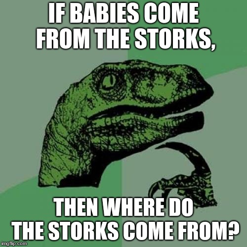 Philosoraptor Meme | IF BABIES COME FROM THE STORKS, THEN WHERE DO THE STORKS COME FROM? | image tagged in memes,philosoraptor | made w/ Imgflip meme maker
