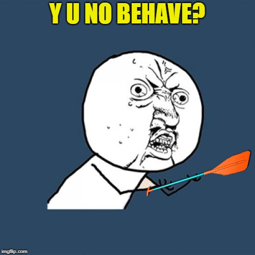 Y U No Meme | Y U NO BEHAVE? | image tagged in memes,y u no | made w/ Imgflip meme maker