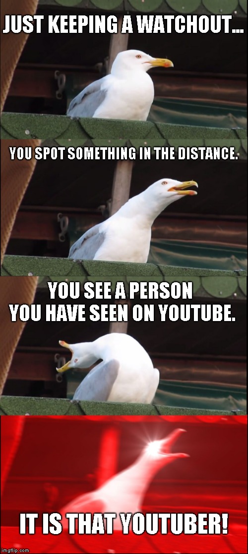 Inhaling Seagull | JUST KEEPING A WATCHOUT... YOU SPOT SOMETHING IN THE DISTANCE. YOU SEE A PERSON YOU HAVE SEEN ON YOUTUBE. IT IS THAT YOUTUBER! | image tagged in memes,inhaling seagull | made w/ Imgflip meme maker