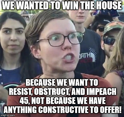 Triggered feminist | WE WANTED TO WIN THE HOUSE BECAUSE WE WANT TO RESIST, OBSTRUCT, AND IMPEACH 45, NOT BECAUSE WE HAVE ANYTHING CONSTRUCTIVE TO OFFER! | image tagged in triggered feminist | made w/ Imgflip meme maker