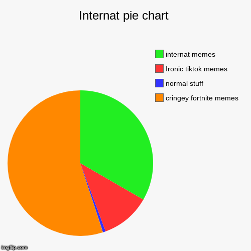 Internat pie chart | cringey fortnite memes, normal stuff, Ironic tiktok memes, internat memes | image tagged in funny,pie charts | made w/ Imgflip chart maker