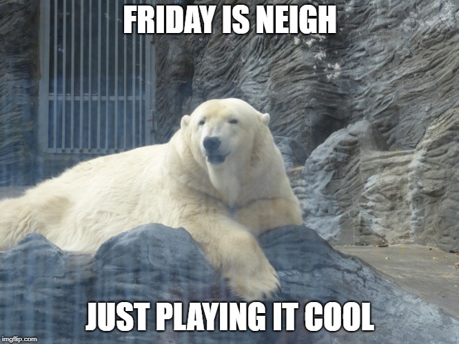polarbear | FRIDAY IS NEIGH; JUST PLAYING IT COOL | image tagged in funny | made w/ Imgflip meme maker