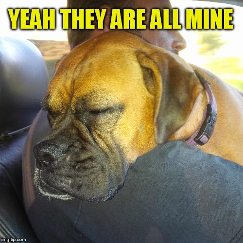 YEAH THEY ARE ALL MINE | made w/ Imgflip meme maker