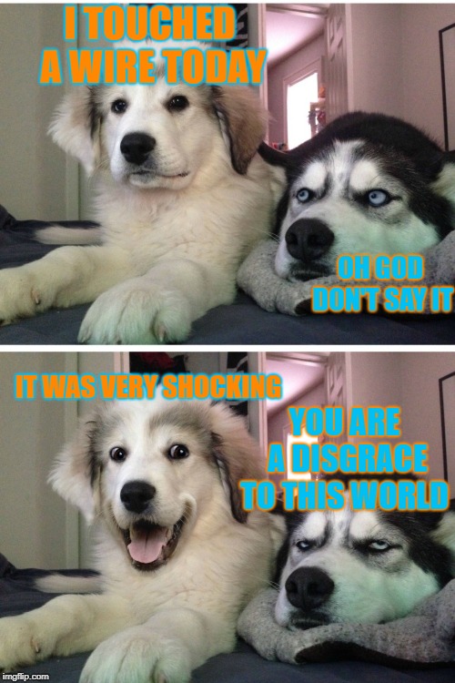 Bad pun dogs | I TOUCHED A WIRE TODAY; OH GOD DON'T SAY IT; IT WAS VERY SHOCKING; YOU ARE A DISGRACE TO THIS WORLD | image tagged in bad pun dogs | made w/ Imgflip meme maker