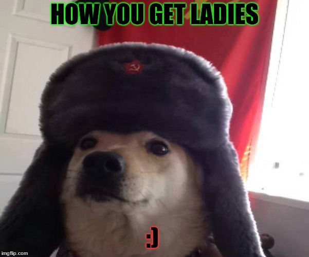 Dog
 | HOW YOU GET LADIES; :) | image tagged in doge | made w/ Imgflip meme maker