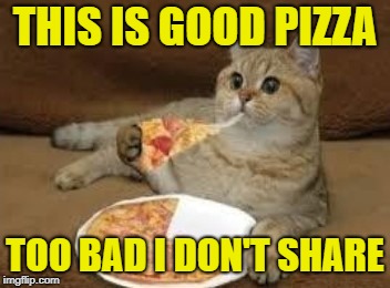 Too bad for you | THIS IS GOOD PIZZA; TOO BAD I DON'T SHARE | image tagged in funny memes,cat,cats,pizza | made w/ Imgflip meme maker