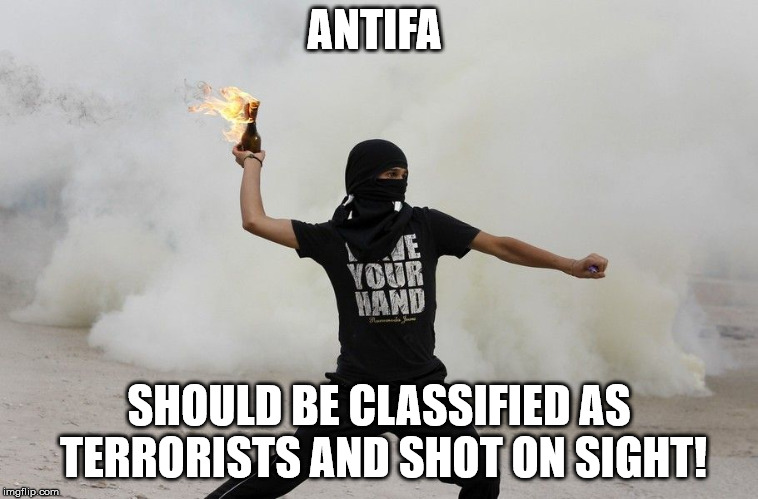 liberal molotov thrower | ANTIFA SHOULD BE CLASSIFIED AS TERRORISTS AND SHOT ON SIGHT! | image tagged in liberal molotov thrower | made w/ Imgflip meme maker