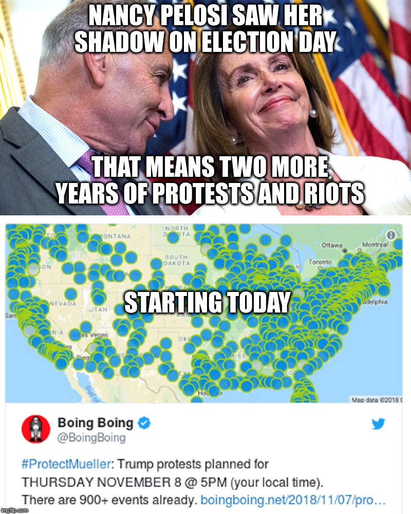 Nancy Pelosi Saw Her Shadow On Election Day | NANCY PELOSI SAW HER SHADOW ON ELECTION DAY; THAT MEANS TWO MORE YEARS OF PROTESTS AND RIOTS; STARTING TODAY | image tagged in nancy pelosi,chuck schumer,peaceful protests,that somehow turn into antifa riots,we will be civil,someday maybe | made w/ Imgflip meme maker
