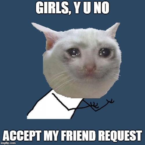 Y U NOvember Crying Cat, a socrates and punman21 event | GIRLS, Y U NO; ACCEPT MY FRIEND REQUEST | image tagged in memes,y u no,crying cat | made w/ Imgflip meme maker