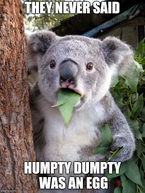 Shocked Koala | THEY NEVER SAID; HUMPTY DUMPTY WAS AN EGG | image tagged in shocked koala | made w/ Imgflip meme maker