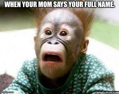 OH SHIT MONKEY | WHEN YOUR MOM SAYS YOUR FULL NAME. | image tagged in oh shit monkey | made w/ Imgflip meme maker