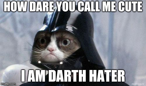 Grumpy Cat Star Wars | HOW DARE YOU CALL ME CUTE; I AM DARTH HATER | image tagged in memes,grumpy cat star wars,grumpy cat | made w/ Imgflip meme maker
