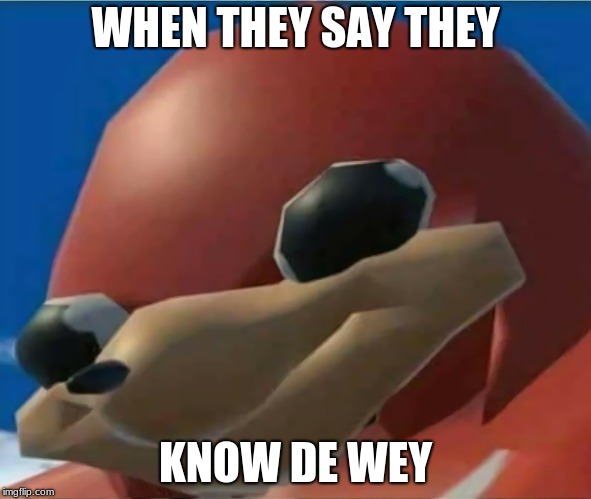 Ugandan Knuckles | WHEN THEY SAY THEY; KNOW DE WEY | image tagged in ugandan knuckles | made w/ Imgflip meme maker